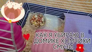 Уборка в домике у хомчихи Смузи//Что она натворила?!//