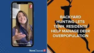 Backyard hunting: One city&rsquo;s plan for deer control