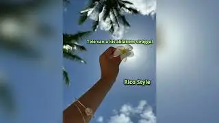 Rico Style ❌ Tele van a kis ablakom virággal - Remix -