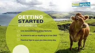 Getting Started with Herdwatch | Live Demo, Q&A & Time-Saving Tips