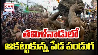తమిళనాడులో విచిత్ర పండుగ | Different Festival in Tamilnadu | Throwing of Cow Dung After Diwali