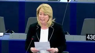 You should find a way to be good neighbours - Jill Seymour MEP