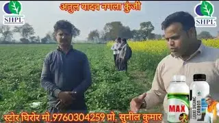 Potato//पोटैटो /आलू टेस्ट मनी वीडियो//अतुल यादव नगलाकुंजी/SHPL ग्रो agri product