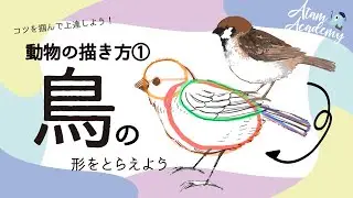 初心者も簡単！スズメ（鳥）の描き方【イラスト上達基礎講座 動物の描き方 】