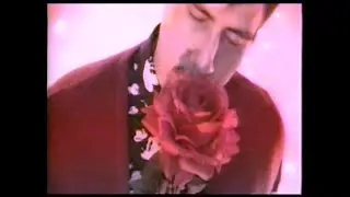Alonso Casual - El camino del Amor