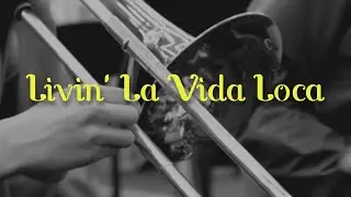 Livin' La Vida Loca // Ricky Martin  // brassband 'De Bazuin' Oenkerk