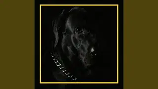 Troublemaker (Born to Celebrate Edit)