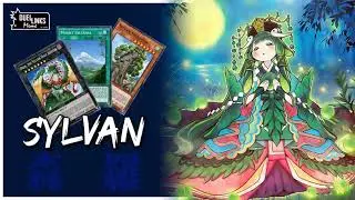 Sylvan! The Ex-Top Tier Plant OTK Deck Returned!? / Chaotic Soldiers [Yu-Gi-Oh! Duel Links]