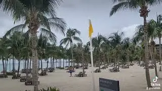 Barcelo Maya Riviera Adults Only Hotel * August 2023*