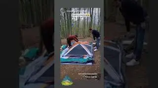 Ayvaz Camping Bir &ccedil;adır kurma merasimi #&ccedil;adır #&ccedil;adırkamp #camping #doğaseverler