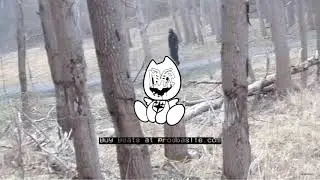 ECCO2K x Thaiboy Digital x Bladee type beat - HURT (Prod. Baslle)