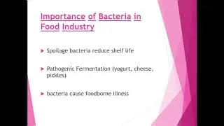 PPT & notes of bacteria 🦠, yeast and mold.......Easy notes 💯......