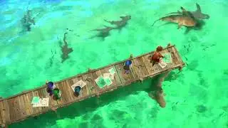 Tranquility #ChillBeats #LofiMusic #NatureLofi 🍃🌊