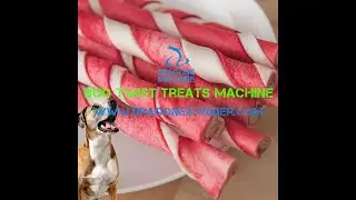 OEM/ODM Manufacturer China Automatic Pet Cat Chews Dog Treat Machine Dog Twist Treats Machine