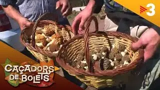 Caçadors de bolets CAP. 97