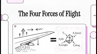 The Four Forces of Flight