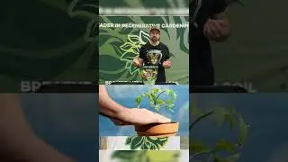 How to Apply GreenGro's All Purpose Fertilizer  #organicgardening  #raisedbeds #containergarden