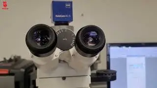 Optical Microscope with Linkam Heating Unit