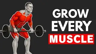These 5 BARBELL Exercises Are All You Need for Muscle Growth (GET HUGE)
