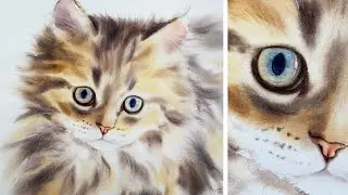 How to paint the softest fur in watercolor - speeded up full video