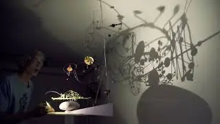 Euglena shadows created by Alexander Moyle at the OutAut Gallery