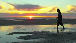 Dub Silence - Musical Opposition (Clip Officiel 2012)
