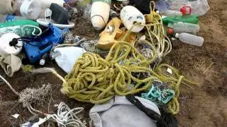 Shoreline clean up .