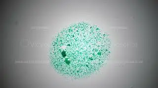 Macro of Microzyme whole mount concentration magnified under microscope in 40 times