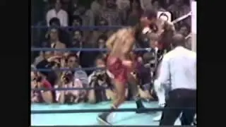 eusebio pedroza vs bernard taylor