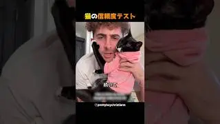 猫の信頼度テスト
