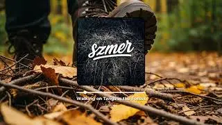 Walking on Twigs in the Forest | Crunchy Branches & Natural Ambience for Relaxation
