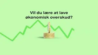 &Oslash;konomi overskud