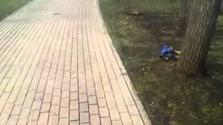 MOV00446