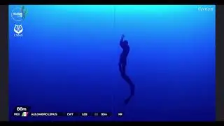 Alejandro Lemus dive