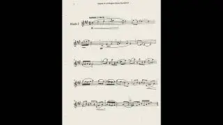 Texas Middle School Region 25 All-Region Saxophone Etude 2