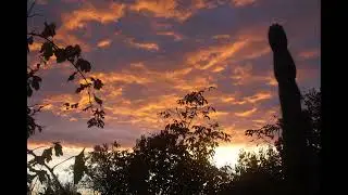 The Lonely Shepherd - Gheorghe Zamfir - 432 hz
