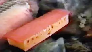 HOn30 Train 