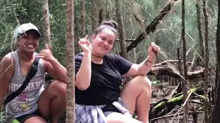 Why I Love Hawaiʻi