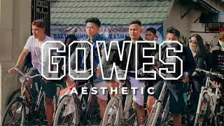 GOWES AESTHETIC'20 SMANSA