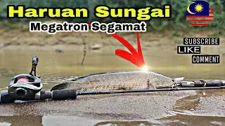 Gewang Untuk Casting Ikan Haruan | Umpan Ikan Gabus | Antara Gewang Wajib Kena Ada Dalam Box.
