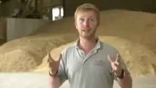 OilWell Team~ Einkorn Wheat & Young Living's growing process