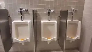 American Museum of Natural History toilets 