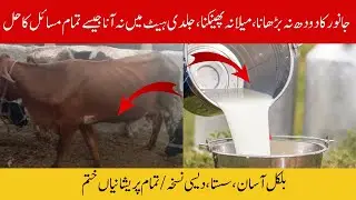 Desi Nuskha for Cow Problems | Natural Solution For Heat Problems In Cow Buffalo