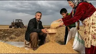 Tractor Farming 🚜 | Wheat Cleaning, Bagging Seeds & Field Planting