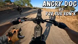 Angry Dogs vs Bikers // 72v Sur Ron X