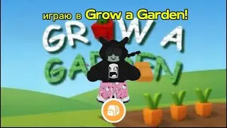 играю в Grow a Garden! НОВЫЙ ивент TRADER! Orange в шоке!