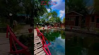 SALING Fish farm || Hidden Fish Farm || Haven of Peace  #viralvideo # fish farm