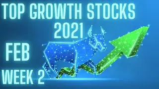 Top Growth Stocks 2021 - PayPal & Dropbox & Beyond Meat & Tattooed Chef | February Week 2 Update!