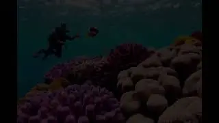Diver's Underwater Adventure #diverslife #underwateradventure #reefexploration