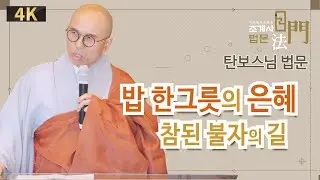 탄보스님 #조계사법문 #신중기도회향 #삶이_행복해지는이야기